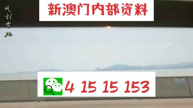 新澳2025最新資料生肖，深度解析與預(yù)測(cè)展望，新澳2025最新生肖資料深度解析與未來(lái)預(yù)測(cè)展望