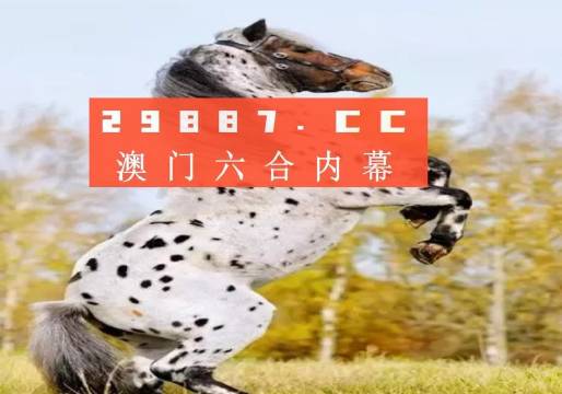 白小姐的精準免費四肖，揭秘背后的秘密，揭秘白小姐精準免費四肖背后的秘密