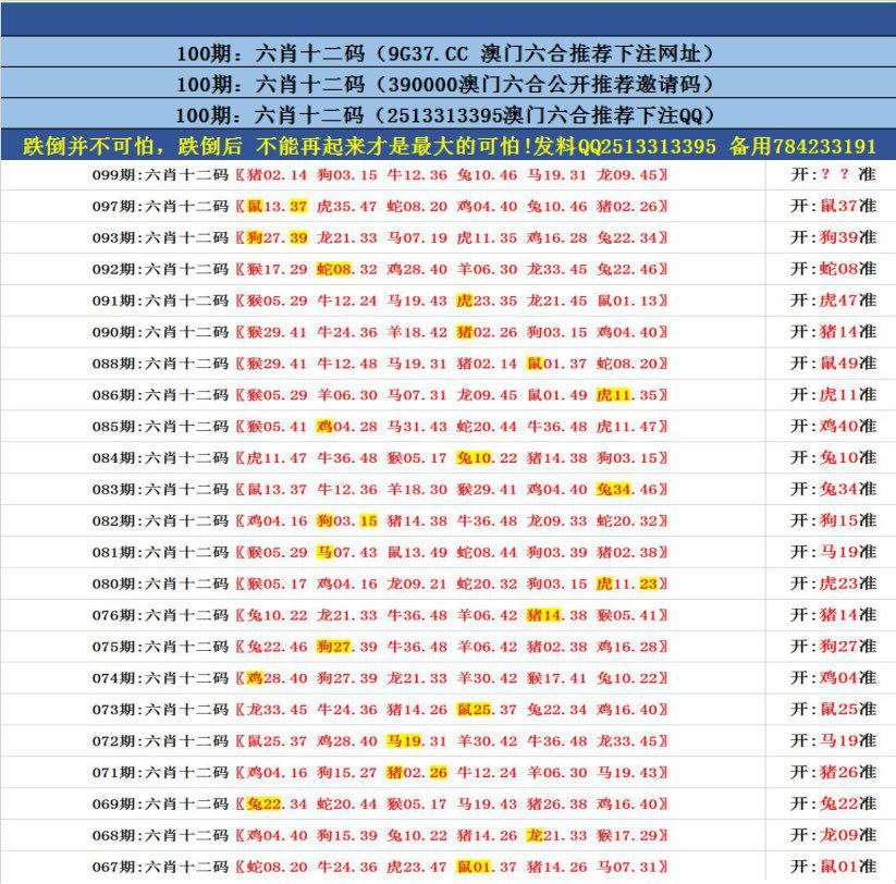 澳門無(wú)錯(cuò)九肖今日搜狗，探索與解析，澳門無(wú)錯(cuò)九肖今日搜狗，深度解析與探索