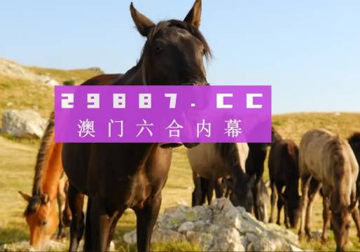 香港生肖精準(zhǔn)管家婆之7777888888精準(zhǔn)分析，香港生肖精準(zhǔn)管家婆之精準(zhǔn)分析，7777與8888的奧秘