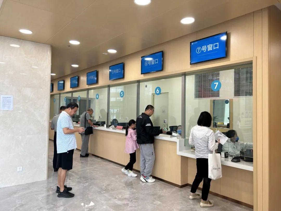 新門內(nèi)部資料免費下載——探索與揭秘，新門內(nèi)部資料揭秘，免費下載與探索之旅