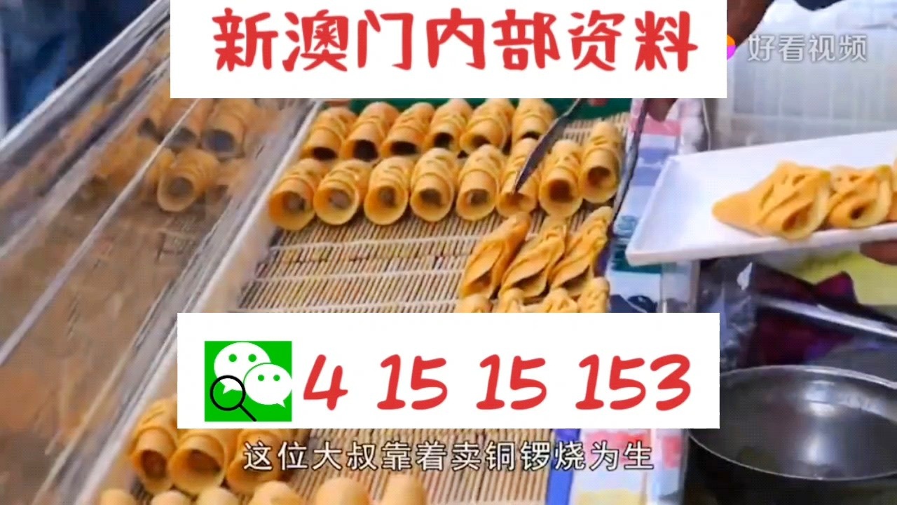 澳門天天好彩66，展望未來的美好愿景與探索（2025年），澳門天天好彩66，展望未來美好愿景與探索（2025展望）
