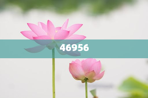 新奧集團(tuán)，邁向2025，天天開好彩的愿景與挑戰(zhàn)，新奧集團(tuán)邁向2025，實現(xiàn)天天開好彩的愿景與挑戰(zhàn)