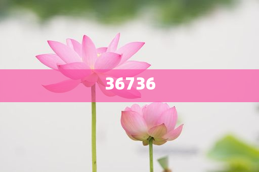 7777788888精準(zhǔn)新傳免費