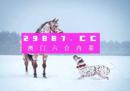 澳門一肖一碼狀元紅，揭秘彩票背后的秘密與策略，澳門彩票揭秘，狀元紅背后的秘密與策略解析