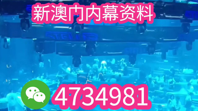 新澳門2025，探索與未來的展望，新澳門2025，探索未來，展望發(fā)展