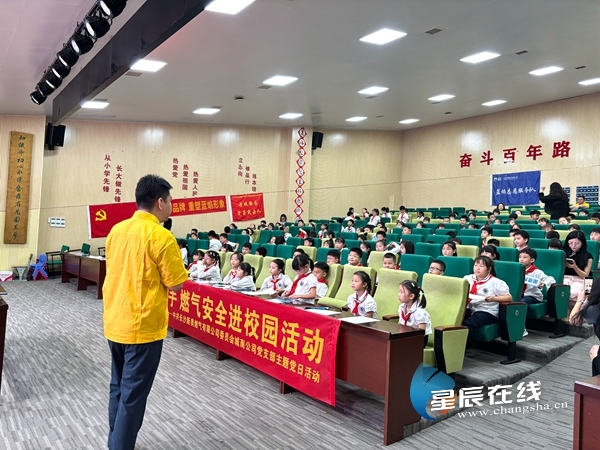 新奧49正版資料，探索與解析，新奧49正版資料深度探索與解析