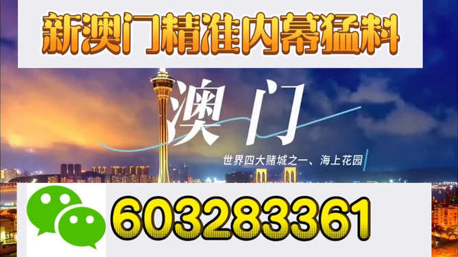 新澳門今晚開獎結(jié)果揭曉，探索彩票背后的秘密與期待，新澳門今晚開獎結(jié)果揭曉，彩票背后的秘密與期待揭曉之夜