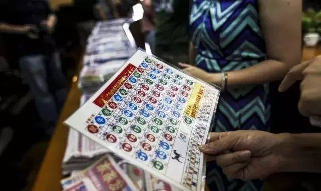 揭秘生肖運勢預測，探尋六肖期期中特期期期準背后的奧秘，揭秘生肖運勢預測背后的奧秘，探尋六肖期期中的精準預測