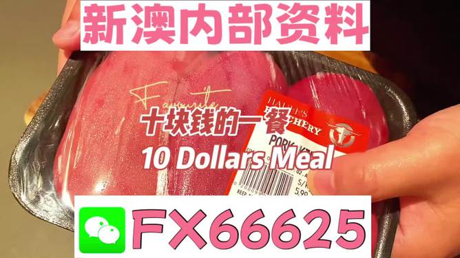紅雙喜新澳資料，深度解析與SEO優(yōu)化策略，紅雙喜新澳資料深度解析與SEO優(yōu)化策略探討