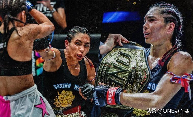 王中王免費公開精準大全——全方位解析與指南，王中王全方位解析與指南——免費公開精準大全