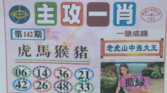 王中王號(hào)碼一肖，揭秘背后的秘密與策略，揭秘王中王號(hào)碼一肖背后的秘密與策略之道