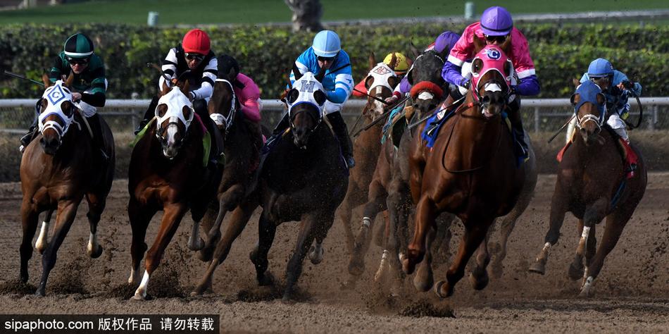 王中王內(nèi)部必中一肖——揭秘彩票背后的秘密，揭秘彩票王中王內(nèi)部必中一肖的神秘秘密