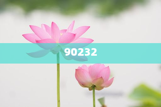 揭秘2025新澳天天開好彩大全第78期精彩瞬間，掌握彩票秘籍！，揭秘第78期新澳天天開好彩精彩瞬間，彩票秘籍大揭秘！