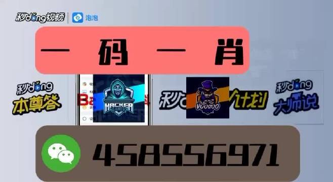 本期一肖一碼王中王，揭秘與探索，揭秘一肖一碼王中王，探索生肖與數字的神秘聯(lián)系