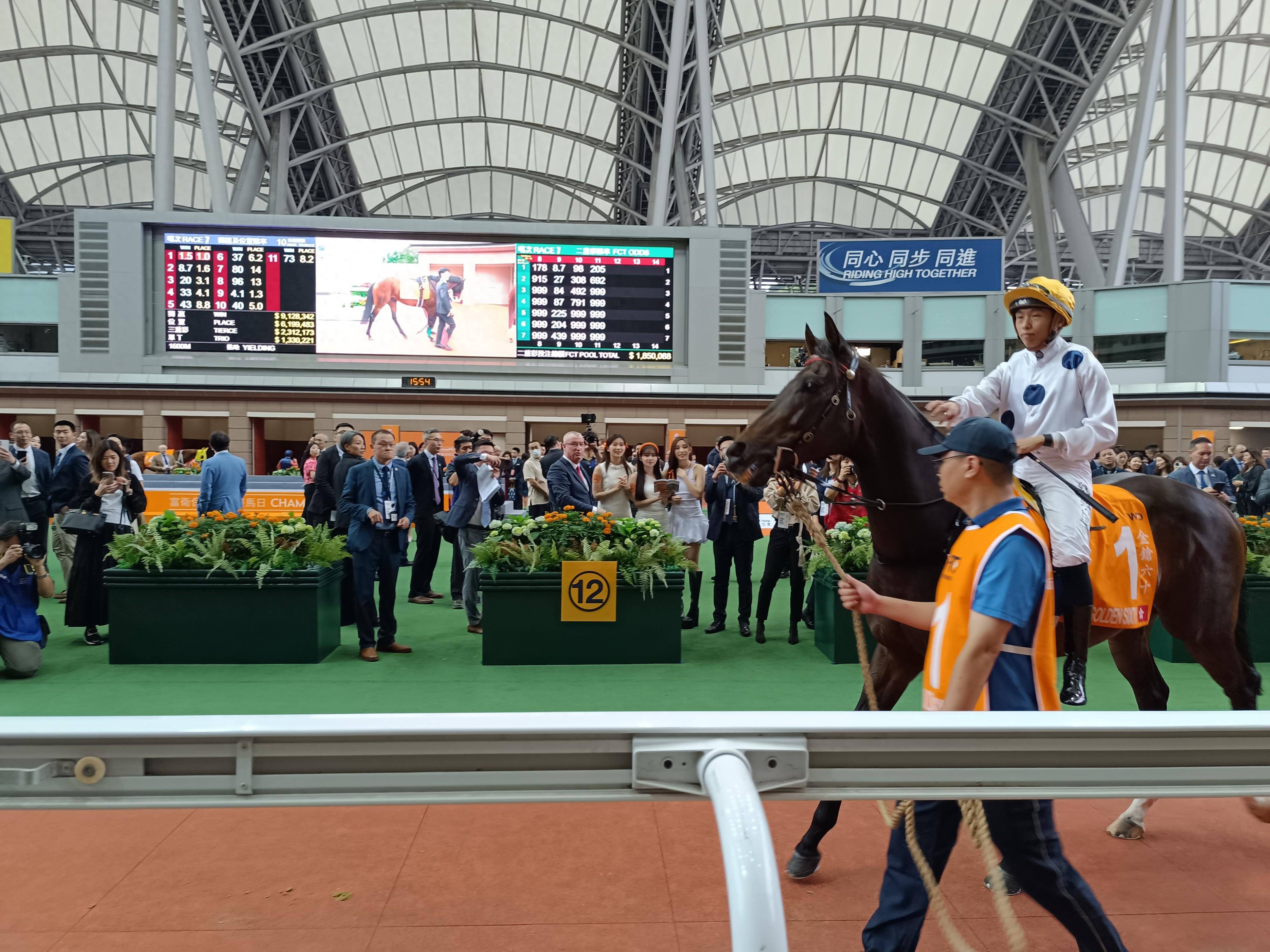 香港王中王一肖中特馬的奧秘與探索，香港王中王一肖中特馬的奧秘探索之旅