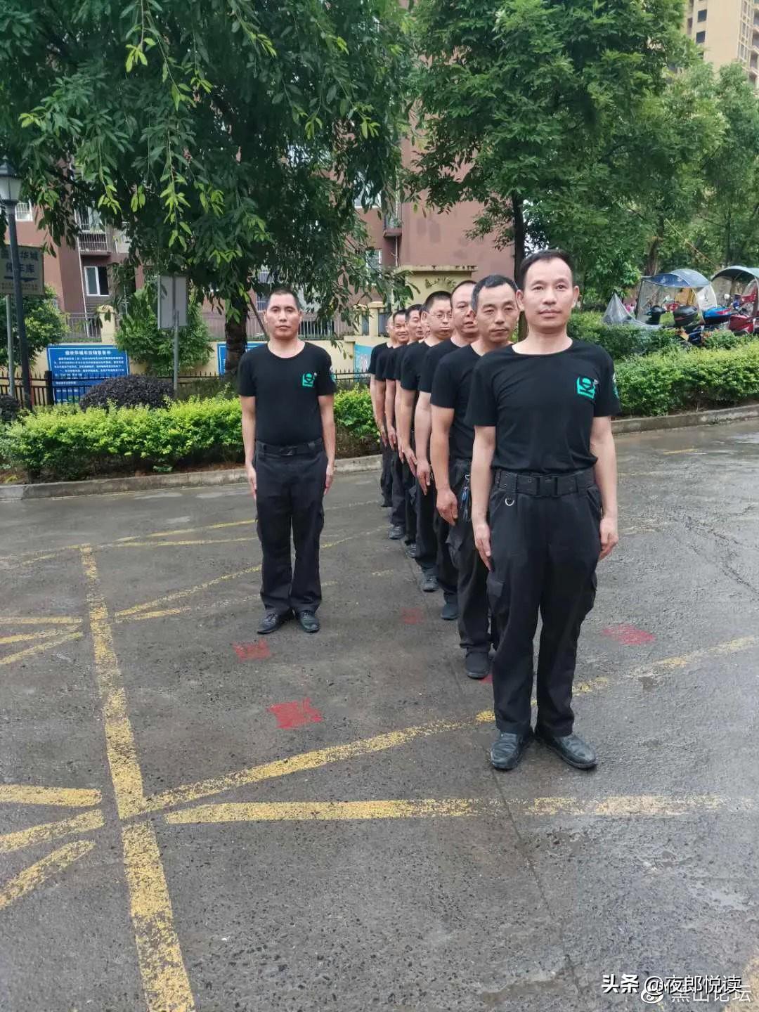 關(guān)于尋找一肖二碼中特站的探討，一肖二碼中特站的深度探討與尋找之路