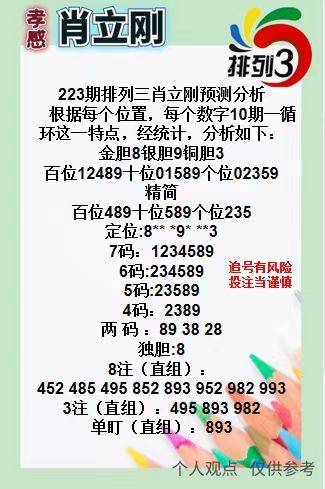 王中王三肖一碼資料，深度解析與SEO優(yōu)化策略，王中王三肖一碼資料深度解析與SEO優(yōu)化策略全攻略