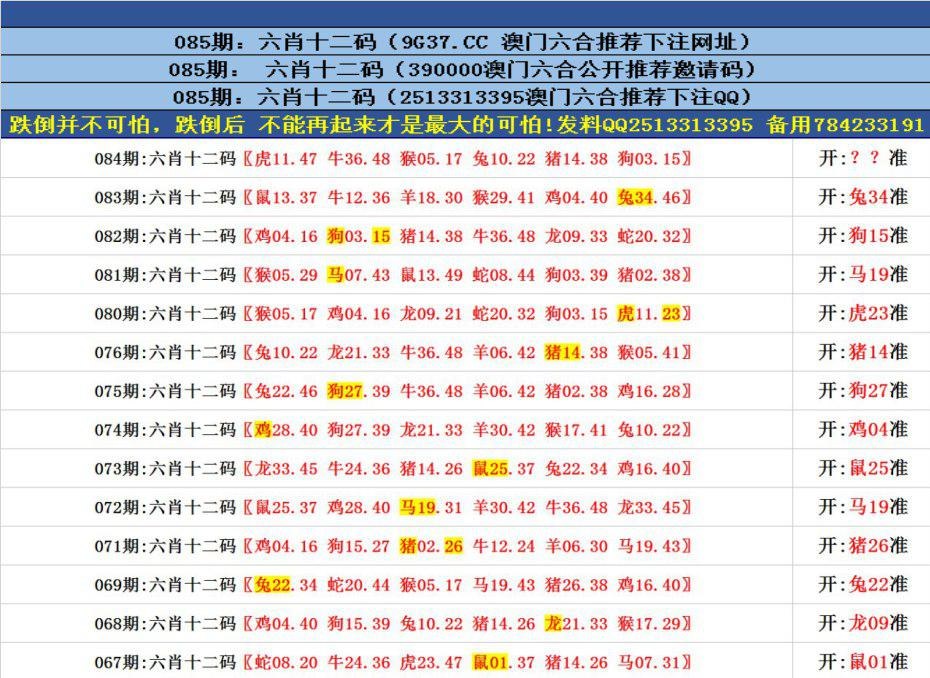 澳門六合正版資料，深度解析與探索，澳門六合正版資料深度解析與探索之旅