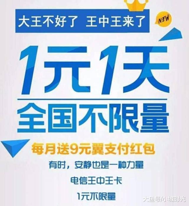 王中王新四不像一肖，揭秘背后的神秘面紗與SEO策略洞察，揭秘王中王新四不像一肖背后的神秘面紗與SEO策略洞察
