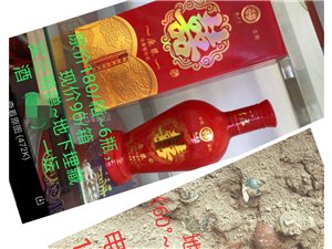 王中王一肖論一壇，深度探討與SEO優(yōu)化策略，王中王一肖論壇，深度探討與SEO優(yōu)化策略分享