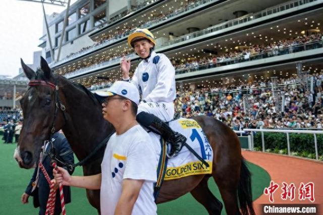 香港特馬王資料免費(fèi)公開(kāi)，深度解析與探索，香港特馬王資料深度解析與探索，免費(fèi)公開(kāi)揭秘