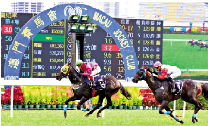 澳門賽馬會(huì)，歷史、文化與激情的交融，澳門賽馬會(huì)，歷史、文化與激情的盛會(huì)