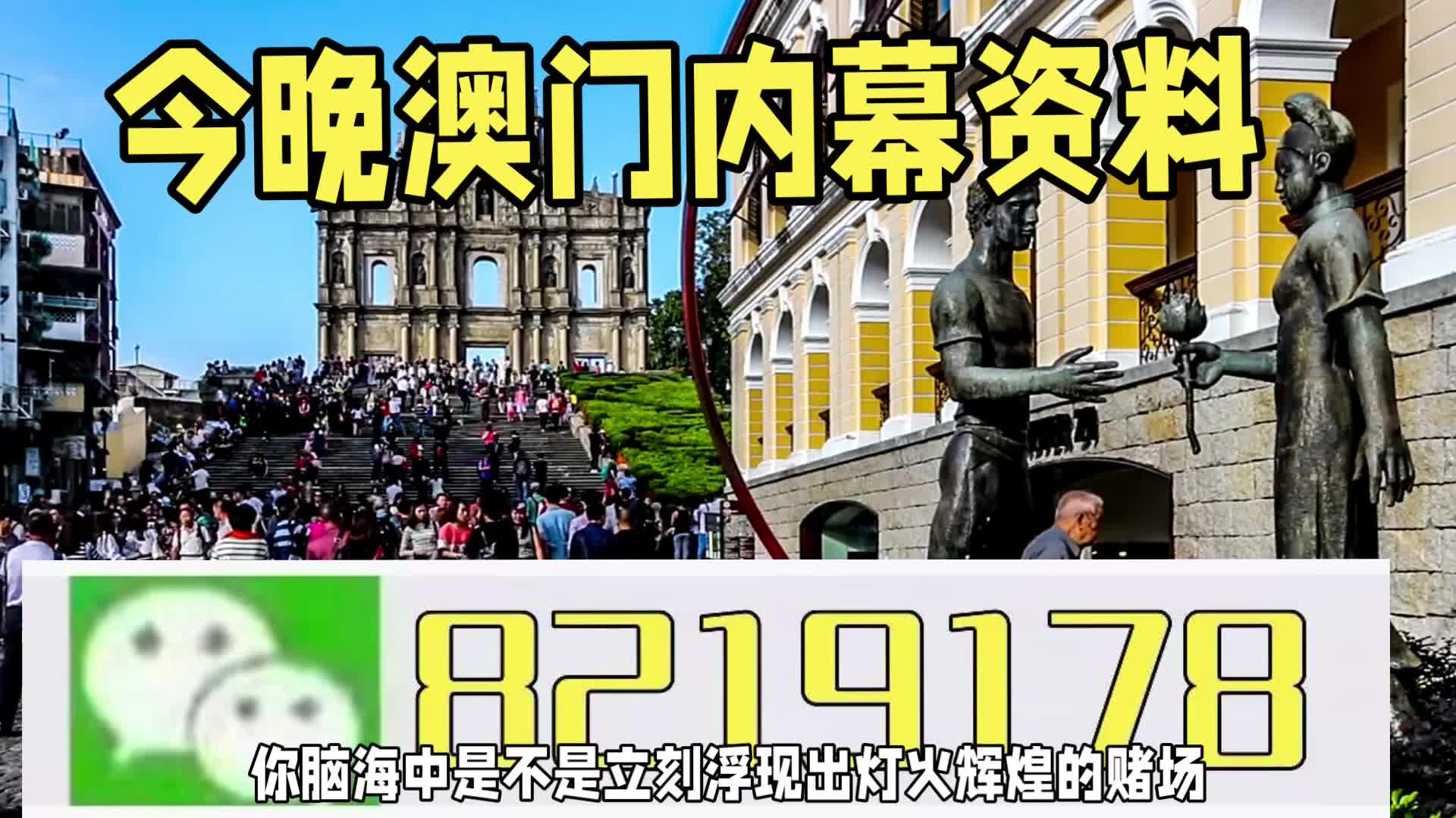 新澳門一肖一特一中，探索與解讀，新澳門一肖一特一中，深度探索與解讀