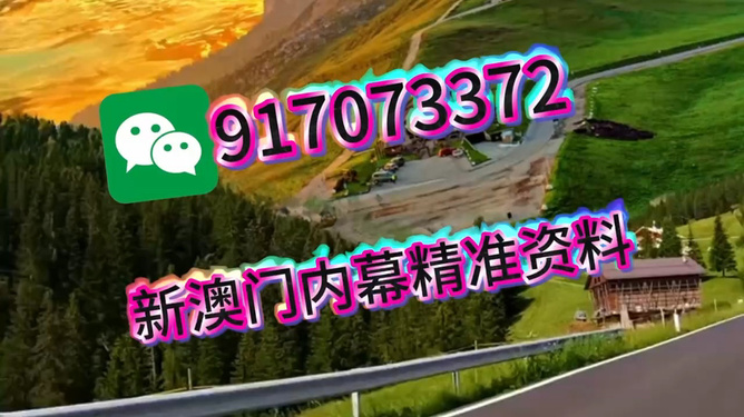 王中王一肖一中特，深度解析與SEO優(yōu)化策略，王中王一肖一中特深度解析與SEO優(yōu)化策略探討