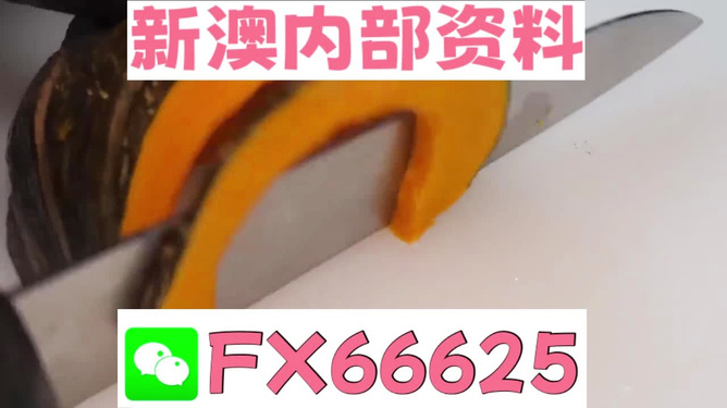 澳門(mén)管家婆，揭秘精準(zhǔn)預(yù)測(cè)的秘密武器，澳門(mén)管家婆揭秘，精準(zhǔn)預(yù)測(cè)的秘密武器全解析