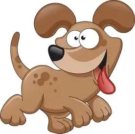 一肖有哪幾個(gè)生肖——生肖文化的深度解析，生肖文化深度解析，一肖涵蓋的生肖有哪些？