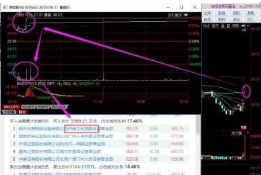 探索300563股吧的獨特魅力與機遇，揭秘300563股吧，獨特魅力與無限機遇