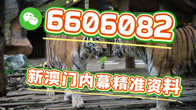 澳門今晚必開一肖一特，探索生肖彩票的魅力與預(yù)測(cè)，澳門生肖彩票探索，魅力揭秘與今晚預(yù)測(cè)一肖一特