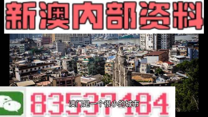 新澳門精準(zhǔn)四肖期準(zhǔn)，探索背后的秘密與策略，澳門精準(zhǔn)四肖期背后的秘密與策略探索