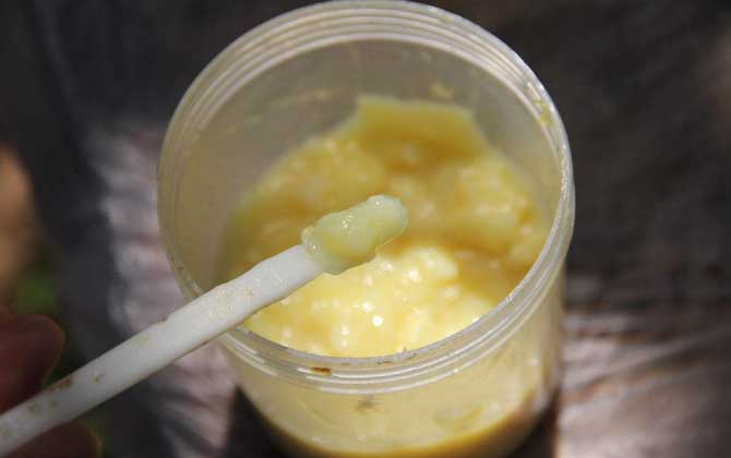 蜂王漿，功效、作用及食用方法詳解，蜂王漿，功效、作用及食用方法全面解析