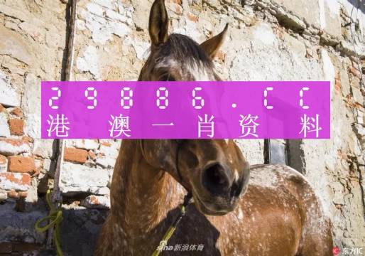 揭秘王中王資料，一肖正特馬的奧秘，揭秘王中王資料與一肖正特馬的神秘面紗