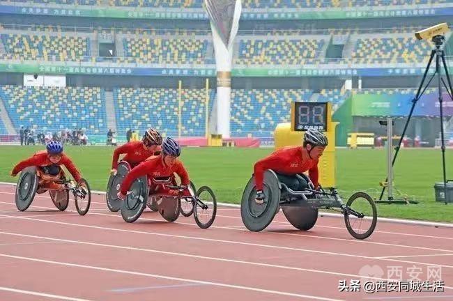 探索澳門未來，2025新澳門正版免費(fèi)資本車展望，澳門未來展望，2025資本車正版免費(fèi)探索之旅