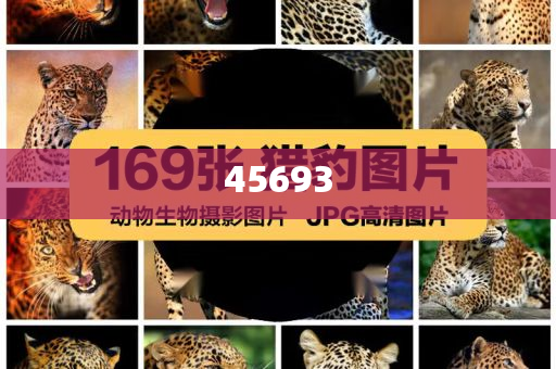 全新升級(jí)管家