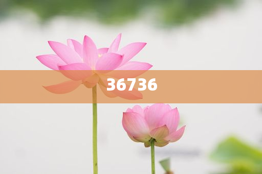 揭秘7777788888精準(zhǔn)新傳真，真相大揭秘，揭秘精準(zhǔn)新傳真背后的真相，77777與88888的神秘面紗被揭開(kāi)