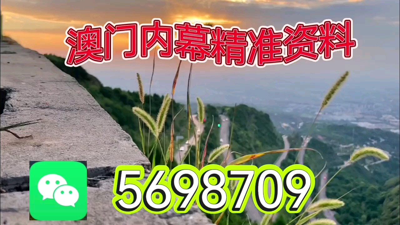 新澳天天開彩資料大全，探索彩票世界的奧秘，探索彩票世界奧秘，新澳天天開彩資料大全