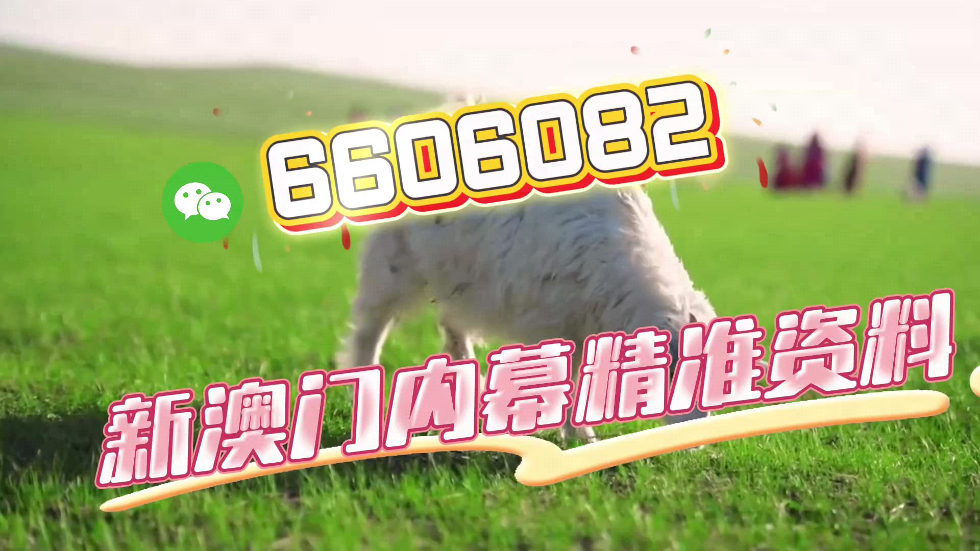 新澳門期期準(zhǔn)