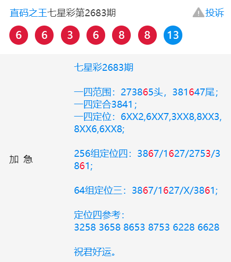 王中王一肖中特4487，揭秘背后的故事與奧秘，揭秘王中王一肖中特4487背后的故事與奧秘