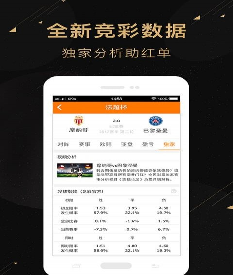 二肖二碼，深度解析與SEO優(yōu)化策略，二肖二碼深度解析與SEO優(yōu)化策略探討
