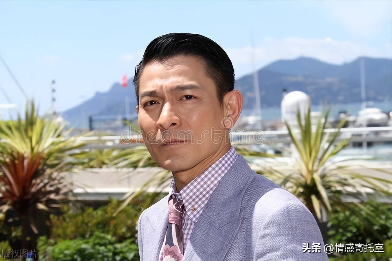 香港一碼一肖王中王，揭秘背后的秘密與真相，揭秘香港一碼一肖王中王的秘密與真相