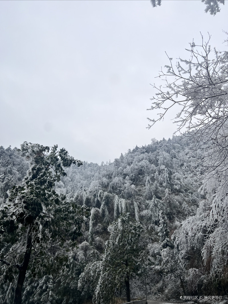 雪峰山國(guó)家森林公園，自然之美的瑰寶，雪峰山國(guó)家森林公園，自然之美的璀璨瑰寶