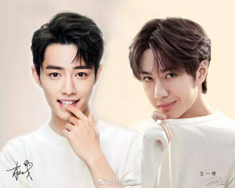 王中王一肖資料深度解析，一探究竟，王中王一肖資料深度解析，揭秘真相