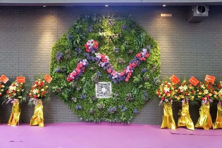 佛山減肥訓(xùn)練營哪里有，專業(yè)指導(dǎo)，塑造健康新生活，佛山減肥訓(xùn)練營，專業(yè)指導(dǎo)，塑造健康新生活