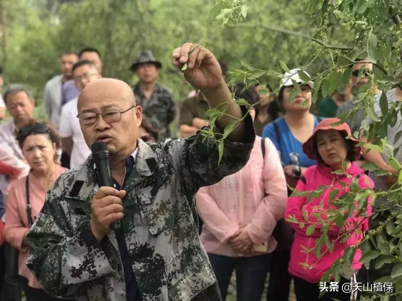 長期吃紅棗的潛在害處，了解并平衡飲食健康，長期食用紅棗的潛在風(fēng)險與飲食平衡的重要性