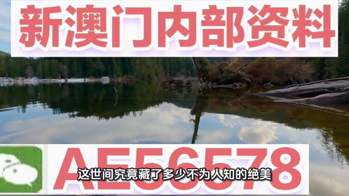 揭秘澳門精準(zhǔn)四不像，預(yù)測未來的趨勢與探索（2025展望），澳門精準(zhǔn)四不像揭秘，未來趨勢展望與探索（2025年預(yù)測）