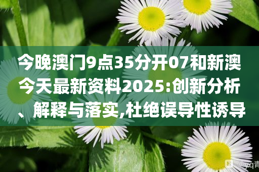 新澳今天最新資料，深度解讀與探索，新澳今日深度解讀與探索最新資料